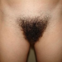 Pic #5 Hairy Girl