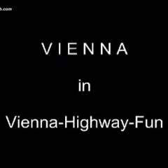 Vienna Highway Fun