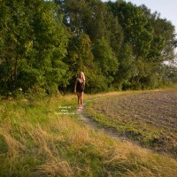 Seethrough Walk