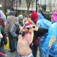 Pic #7 Mardi Gras 2014 - Small Tits