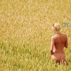 Pic #3 Country Walk - Blonde