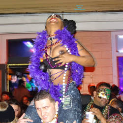 Pic #6 Mardi Gras 4 - Flashing, Public Exhibitionist, Public Place