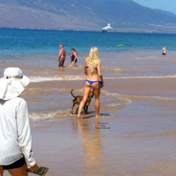 Pic #1 Walking The Dog - Brunette, Outdoors, Bikini Voyeur, Beach Voyeur