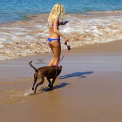 Pic #3 Walking The Dog - Brunette, Outdoors, Bikini Voyeur, Beach Voyeur