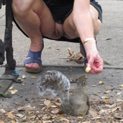 Pic #6 Feeding The Squirrels - Pantieless Girls, Public Exhibitionist, Flashing, Outdoors, Public Place, Shaved, Amateur