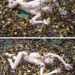 Pic #3 Fall Leaves - Nude Girls, Big Tits, Outdoors, Amateur