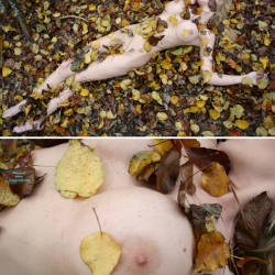 Pic #10 Fall Leaves - Nude Girls, Big Tits, Outdoors, Amateur