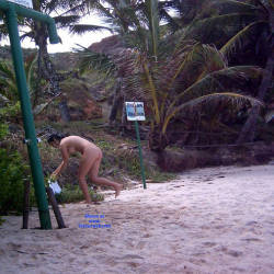 Pic #9 Shower On Beach - Nude Girls, Brunette, Outdoors, Bush Or Hairy, Beach Voyeur