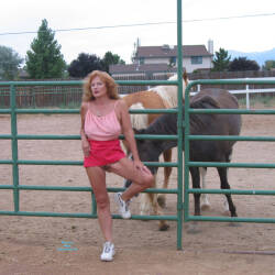 Pic #5 Sweetness With Her Horses - Nude Amateurs, Big Tits, Mature, Outdoors, Redhead