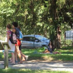 Pic #2 Lecture Au Jardin Public - Big Tits, Brunette, Public Exhibitionist, Outdoors, Shaved, Amateur