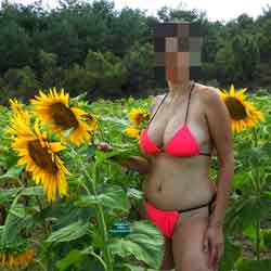 Pic #1 Sunflower field - Amateur, Ass, Big Ass, Big Tits, Brunette, Firm Ass, Flashing, Flashing Tits, Girls Stripping, Hanging Tits, Hard Nipples, Homemade Amateur, Lingerie, Mature, Mature Ass, Mature Pussy, Milf, Milf Ass, Natural Tits, Nature, Nude Amateurs, Nude Wives, Outdoors, Pussy, Pussy Hair, Sexy Wives, Trimmed Pussy