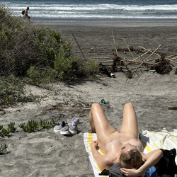 Pic #4 blacks beach - Big Tits, Nature, Nude Amateurs, Nude Wives, Outdoors