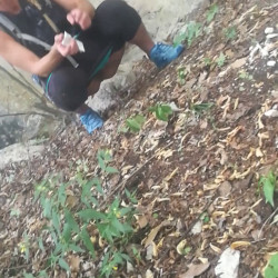 Pic #2 Caught pissing in nature 2